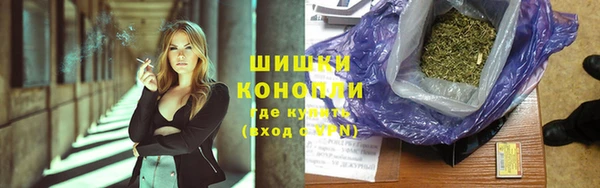 бошки Тавда