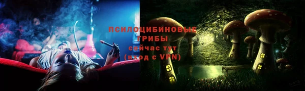 бошки Зерноград