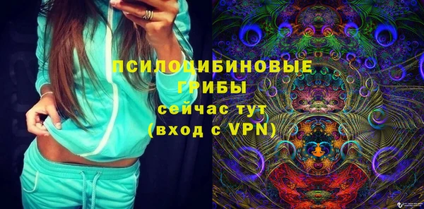 ПСИЛОЦИБИНОВЫЕ ГРИБЫ Зеленодольск