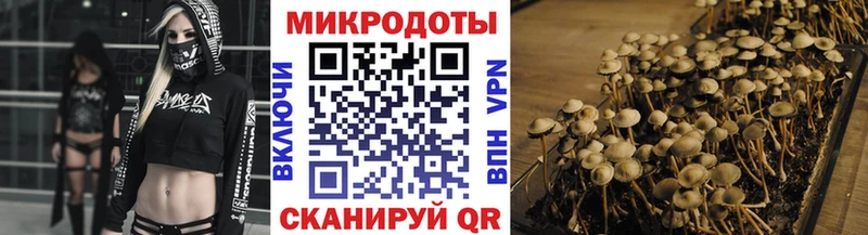 Псилоцибиновые грибы MAGIC MUSHROOMS  купить наркотик  Красноперекопск 